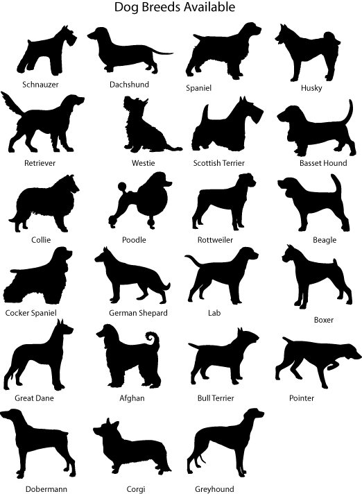 dog breed slates