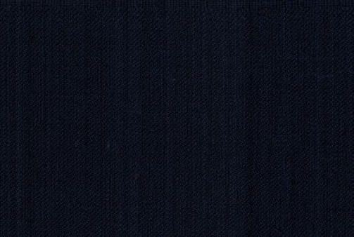 rhblazer1