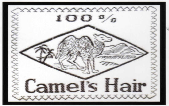 camelhairlogo