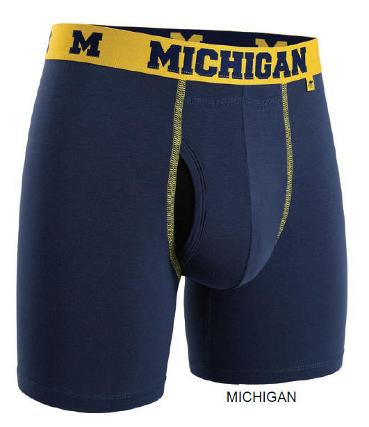 michiganbriefs