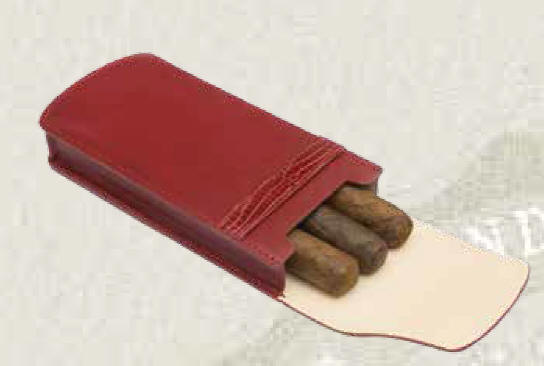 cigcases