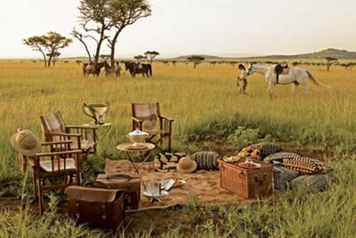 Description: Experience the cream of paradise - Tanzania safari